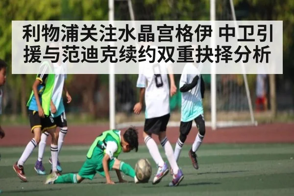 利物浦关注水晶宫格伊 中卫引援与范迪克续约双重抉择分析